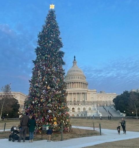 CongressmanRaja's tweet image. The U.S. Capitol Building is ready for the holidays!