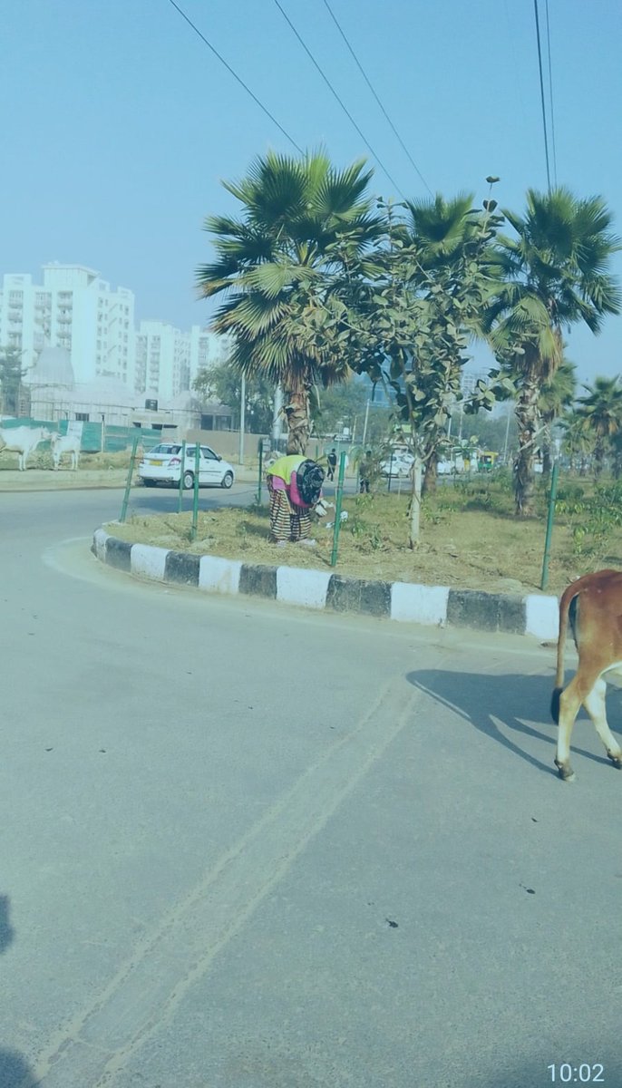 ajaysharma1702's tweet photo. Ward 25 Gurgaon cleanest Thanks Additional commissioner Dr Vaishali Sharma , IAS
PM/CM it's a community movement , #wastemanagement
#pollution
#healthHygiene https://t.co/bxn3cKiIW3