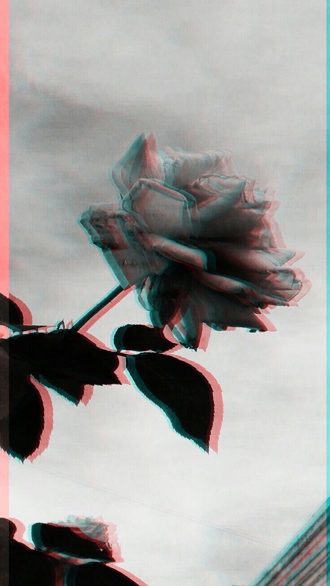 a_jjk7's tweet photo. 🌹🖤 https://t.co/LKf6Zxpdy1