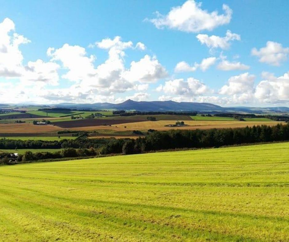 mackiesscotland's tweet photo. Here's the view from the farm - it's not a bad place to work! You can spot the outline of Bennachie (our local hill), which you might have noticed on our chocolate wrappers.
Thanks to our engineer Craig, who doubles up as a photographer - remember those lighter sunny days! https://t.co/ELje7ayZqM
