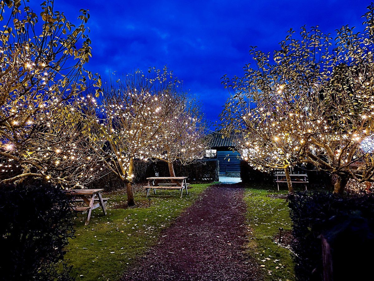 It's beginning to look a lot like Christmas in our Orchard. Perfect photo opportunity after an afternoon stroll, browse of the Shop or picking up a delicious treat from the Orchard Kitchen café 🛍️🍰 #supportlocal #christmaslights #christmas #shoplocal @visitessex #essexgem