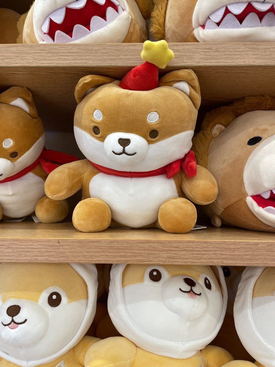 andree_tn's tweet photo. @digitalbuzzfab @ShytoshiKusama Está sacando los peluches de Shiba por Navidad 😁🤓 https://t.co/IGj0zvMyDS