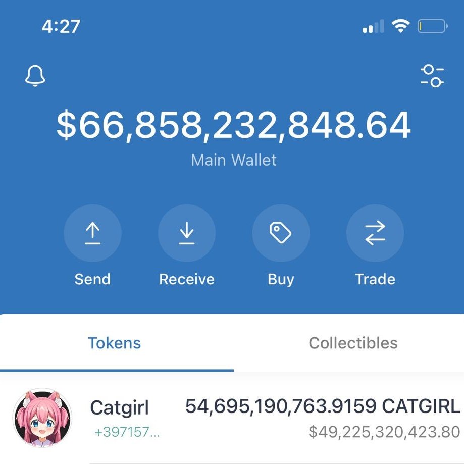 Cryptominting1's tweet photo. Lets go @catgirlcoin https://t.co/n2GFqI4yHd