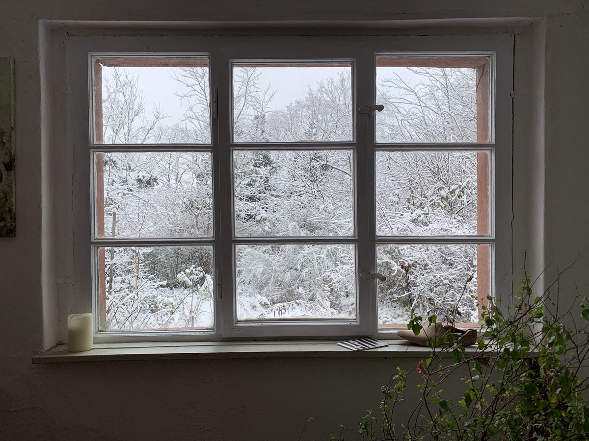 TeeCarola's tweet photo. @Blaue_Ampel “The room was suddenly rich and the great bay-window was
Spawning snow and pink roses against it
Soundlessly collateral and incompatible:
World is suddener than we fancy it.” Louis McNeice https://t.co/RhIYgo56kF