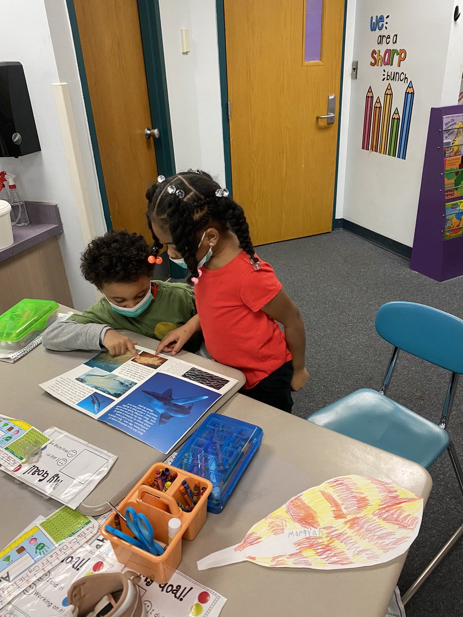 ccs_mrsspacc's tweet photo. Today in 2nd grade, students explored an informational text on sharks with their partners! They worked together to identify the different text features and explored Author’s Purpose! #clintondale #parker https://t.co/KOMrFvB5ZB