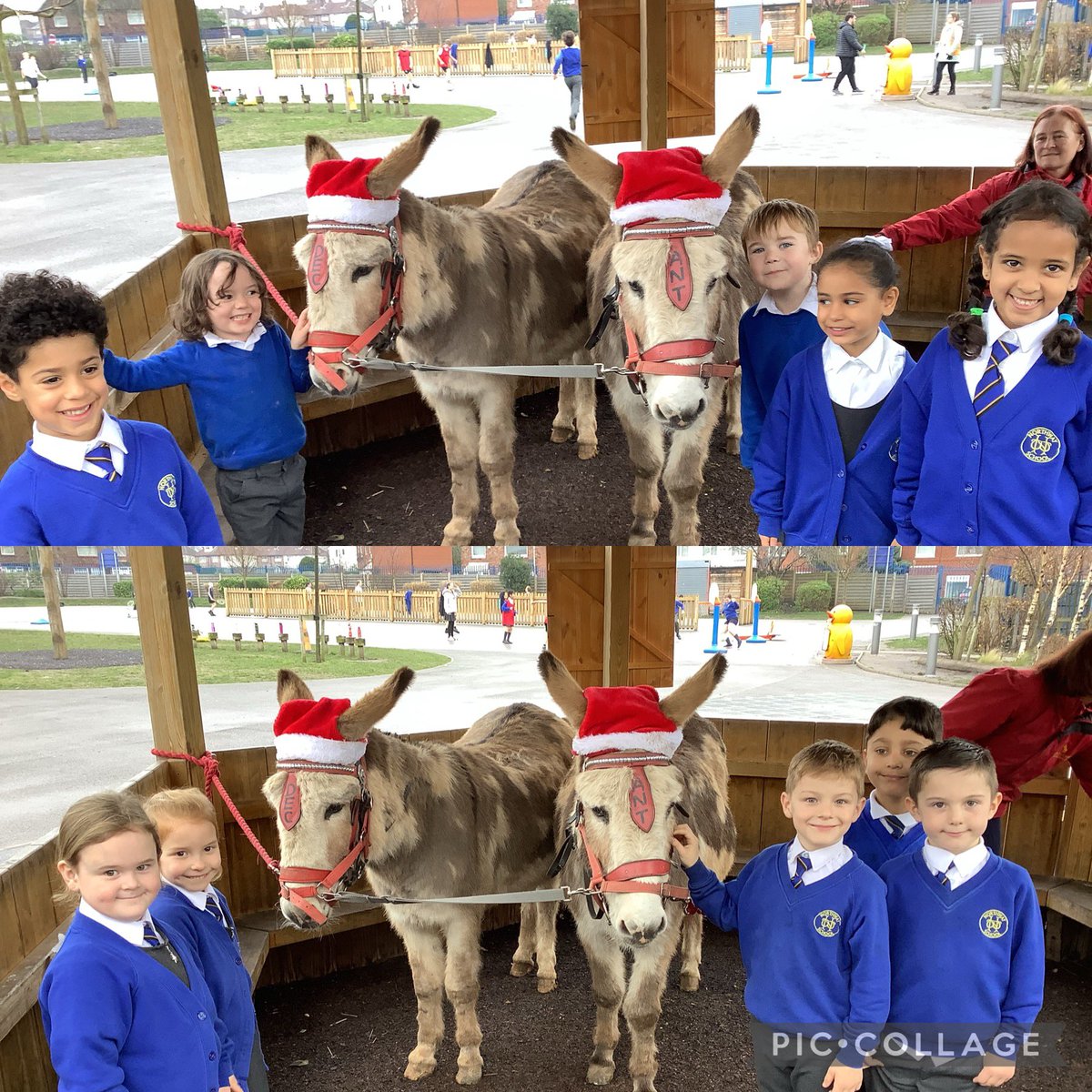 Y1 Northway tweet media