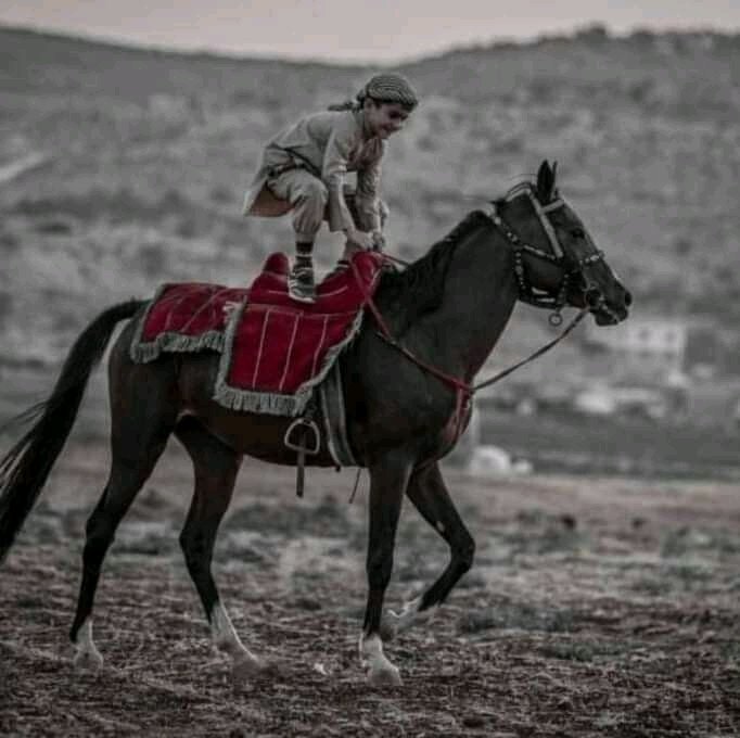 وليس سباع البر مثل ضباعه وما كل من خاض العجاجة عنتر