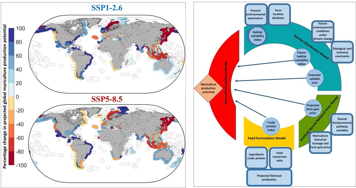 || NEW RESEARCH ||
Projecting global #mariculture production and adaptation pathways under #climatechange

📄 bit.ly/3GIFAV5 <a href="/OyinlolaMM/">Oyinlola A. Muhammed, PhD</a> <a href="/froeltho/">Prof Thomas Frölicher</a> <a href="/UBCoceans/">UBC Oceans (also found at ubcoceans.bsky.social)</a> <a href="/coru_ubc/">Changing Ocean Research Unit</a> <a href="/nereusprogram/">Nereus Program</a>