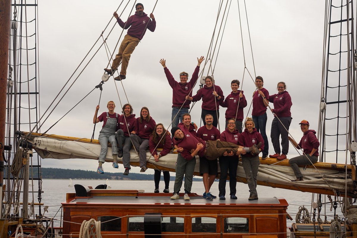 Sound Experience tweet media