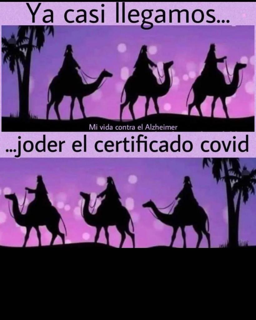 diostuitero's tweet photo. https://t.co/1nZ8pCfQt2