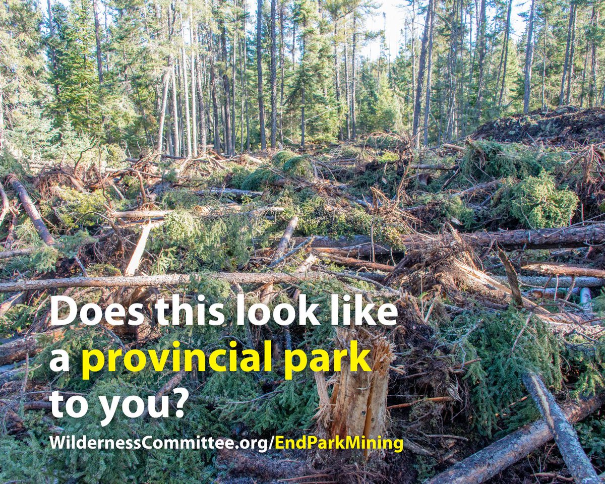 WilderNewsMB's tweet photo. In Manitoba it is! Nopiming Provincial Park is suffering destruction at the hands of the mining industry.
Write your letter to @HStefansonMB and her cabinet to tell them to get mining activity OUT of provincial parks.
#MBpoli #MBParks #EndParkMining
https://t.co/BQwLrB728r https://t.co/3OCpYJTpvf