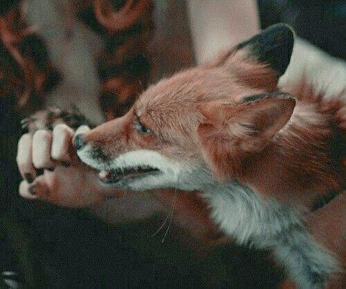 _BlackAlexa's tweet photo. ˹ᴀʟᴇxᴀ ᴅ. ʙʟᴀᴄᴋ ᴡ˼

ㅤ ㅤ ❛ ━ She was like a flame, one who was not afraid to burn everything around her. ❜

𝐒𝐡𝐞 𝐰𝐚𝐬 𝐭𝐡𝐞 𝐪𝐮𝐞𝐞𝐧, 𝐨𝐧𝐞 𝐨𝐟 𝐰𝐡𝐨𝐦 𝐢𝐬 𝐧𝐨𝐭 𝐚𝐟𝐫𝐚𝐢𝐝 𝐨𝐟 𝐚𝐧𝐲𝐨𝐧𝐞. https://t.co/yUc1erUqEH