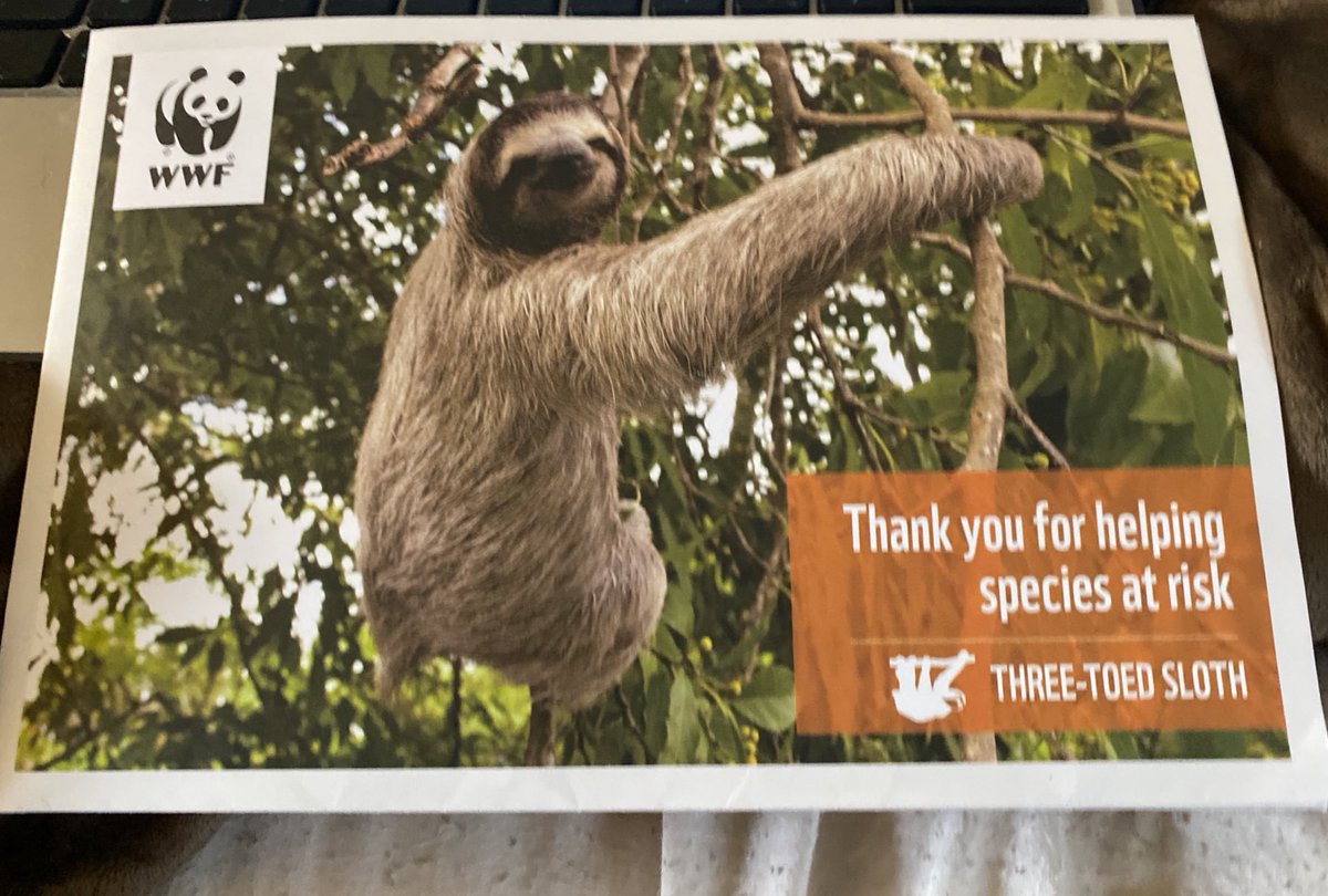 NAFFLY's tweet photo. Gotta save my brothers and sisters 🦥 ❤️

Thanks to my mom 😊 https://t.co/5eJ2Piov25
