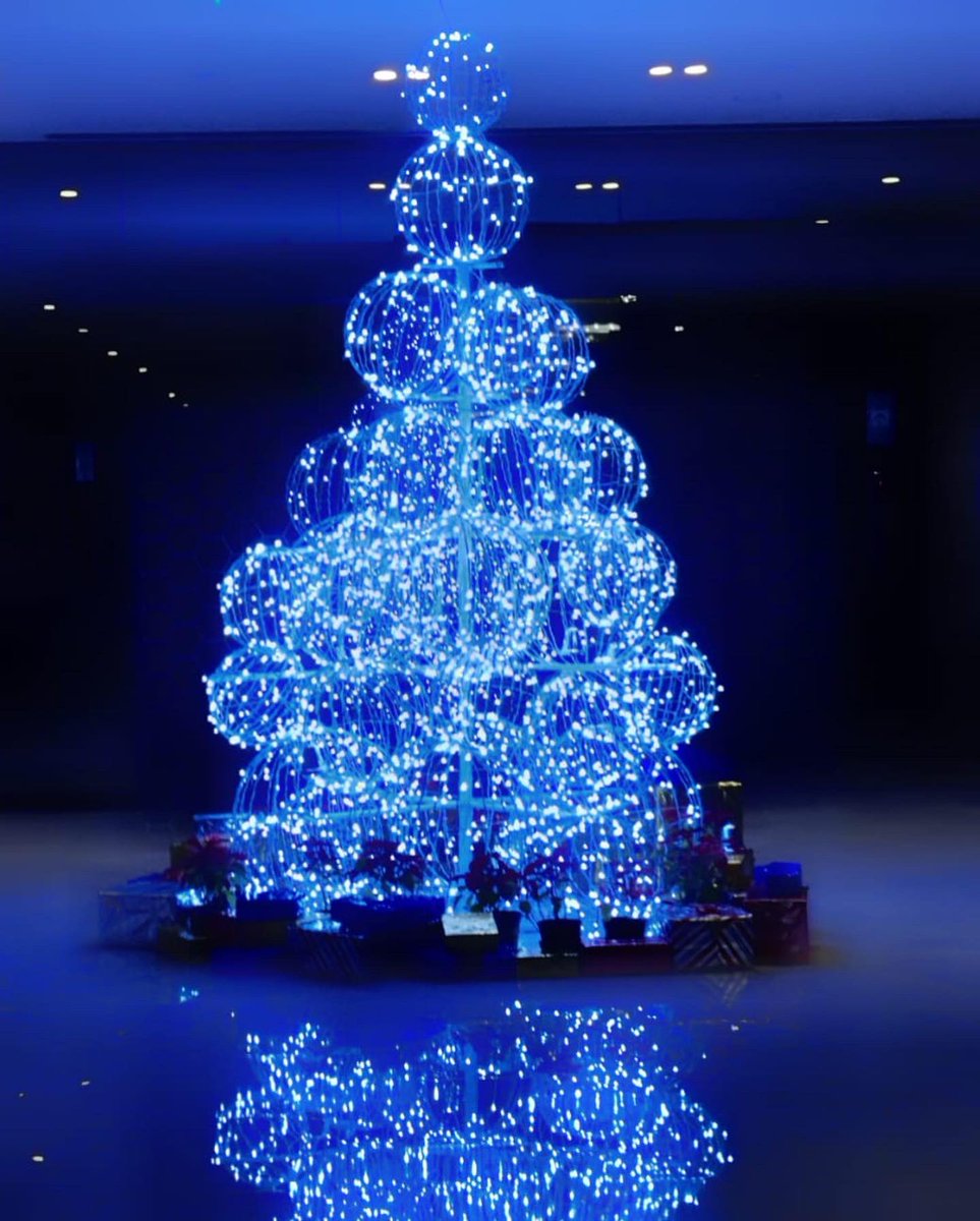 EnabledPhotogr1's tweet photo. Superb Christmas photos shot by #deaf photographer Sahil Gambir from Delhi 
#deafphotography #PhotoOfTheDay #Christmas #photography https://t.co/bQTTtZWpz5