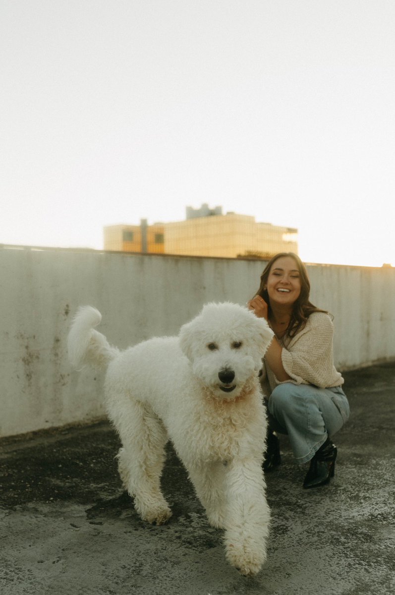 annie_garrett's tweet photo. @austinshayn_ Omg it is a sheepadoodle! Im shocked you asked that haha most people don’t know they exist! He’s 10 months old! https://t.co/pJS6c8hL6y