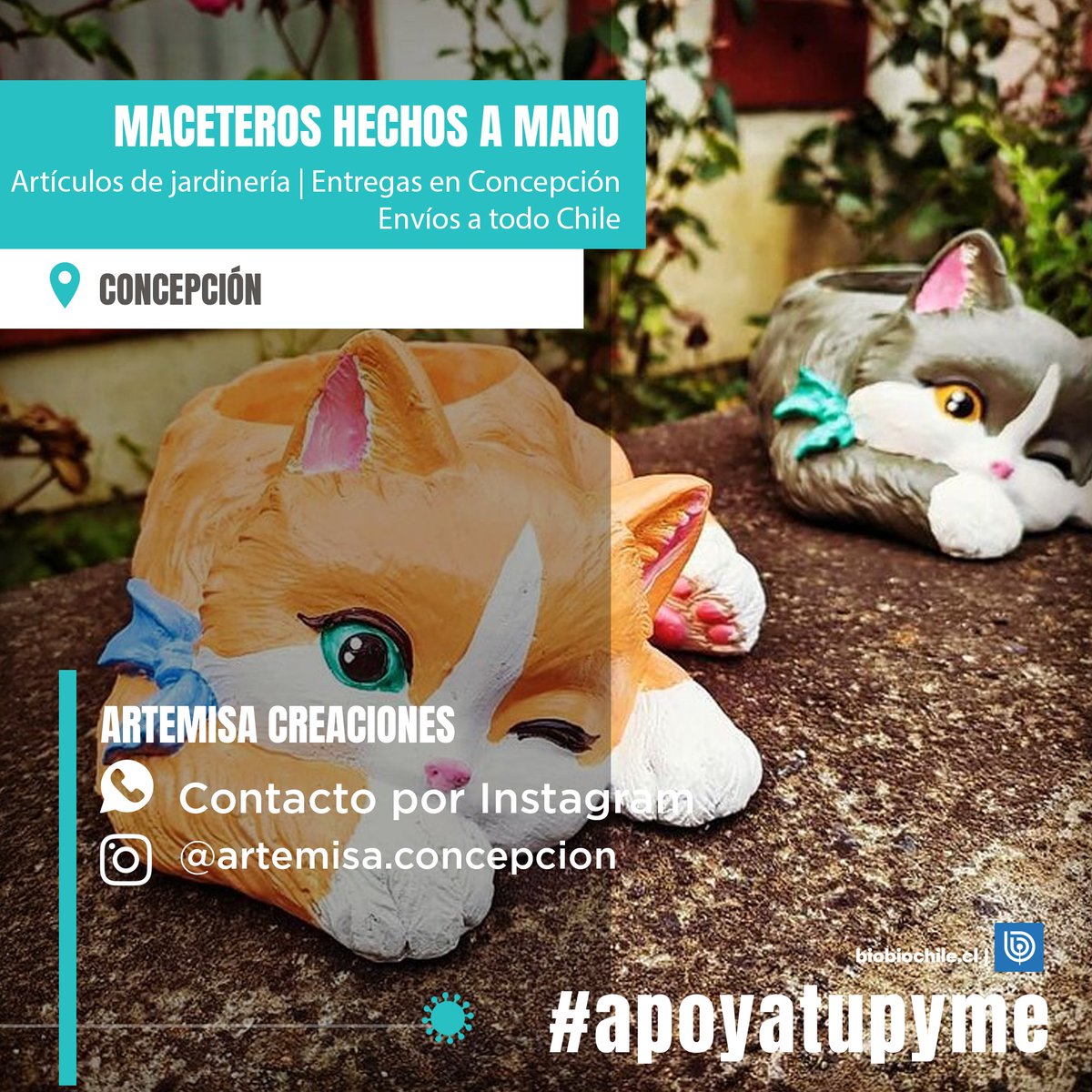 biobio's tweet photo. #PymeChallenge ¿tienes una pyme o conoces a alguien que la tenga? Compártela con nosotros por IG para poder ayudarlos y juntos apoyemos a los microempresarios💪
Por la gran cantidad de mensajes que recibimos no nos es posible responderles, pero leemos todas sus solicitudes. https://t.co/GAHEjl9ESa