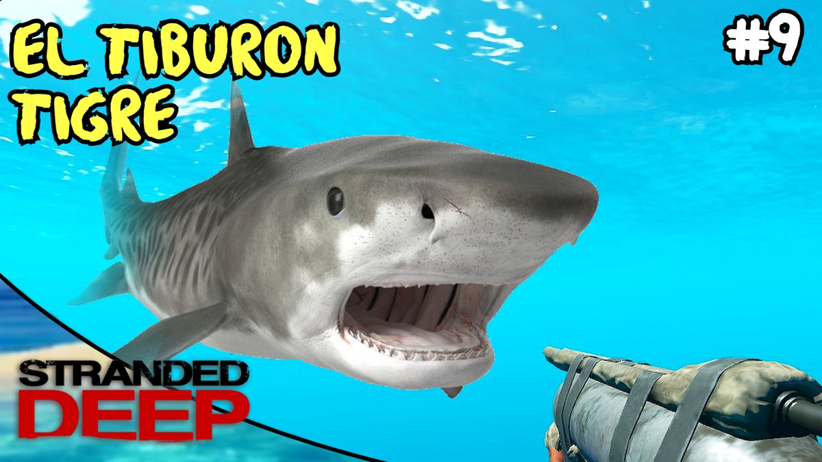 WanchanPlay's tweet image. Cazamos al Tiburón Tigre 🦈
youtu.be/Z4KdNC_kO_8


#WanchanPlay #strandeddeep #strandeddeepgame #strandeddeepgameplay 
@TheStrandedDeep