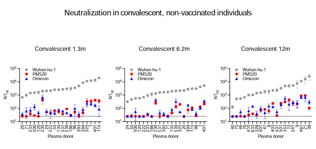Laurie_Garrett's tweet photo. For those who claim "natural COVID infection" offers better immunity than #vaccines, check this out. The @RockefellerUniv team shows that serum from #COVID19 survivors only weakly responds to #Omicron but 3-vaxxed people make neutralizing antibodies. https://t.co/SEN4UAK5gB