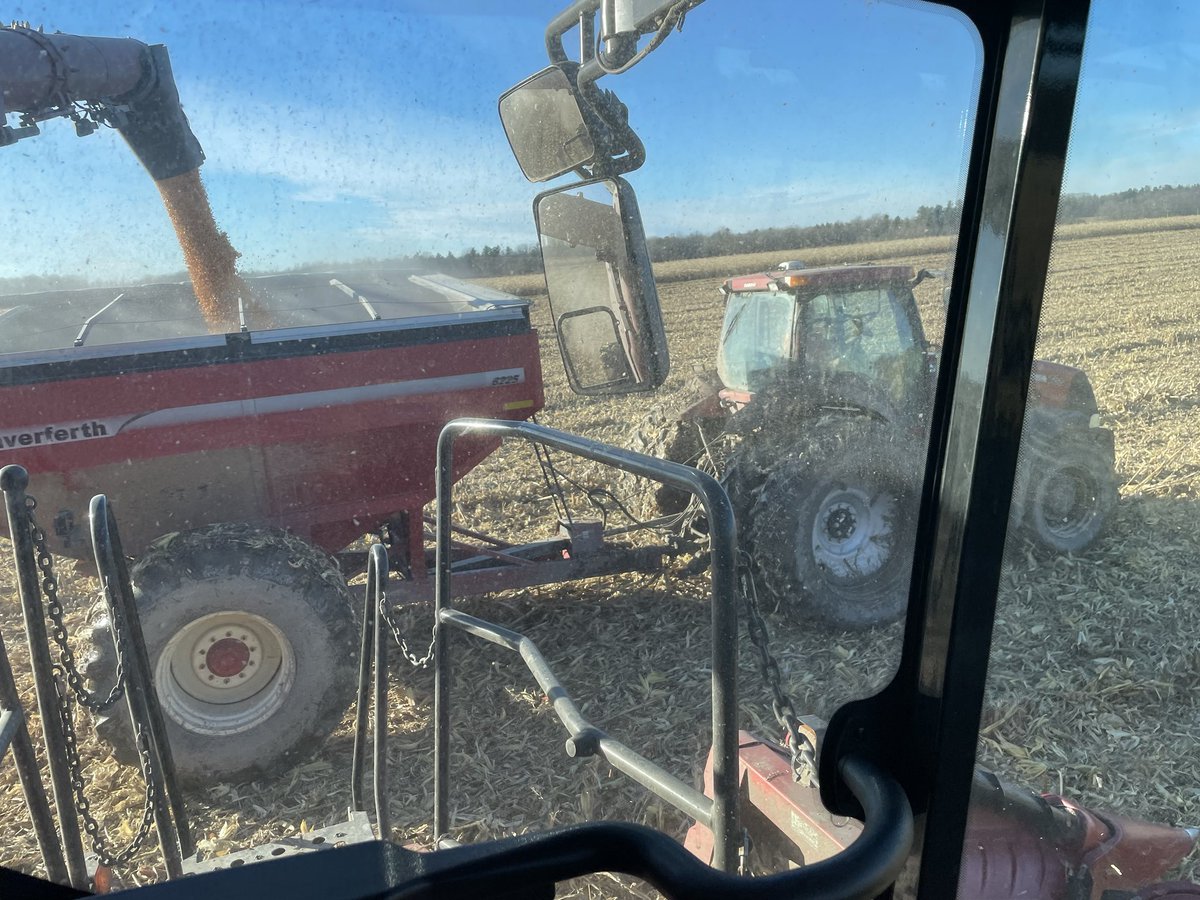Conditions are less than ideal for ⁦<a href="/Adam794389/">Adam</a>⁩ first day in the grain buggy, but not a kernel went on the ground NOT ONE!