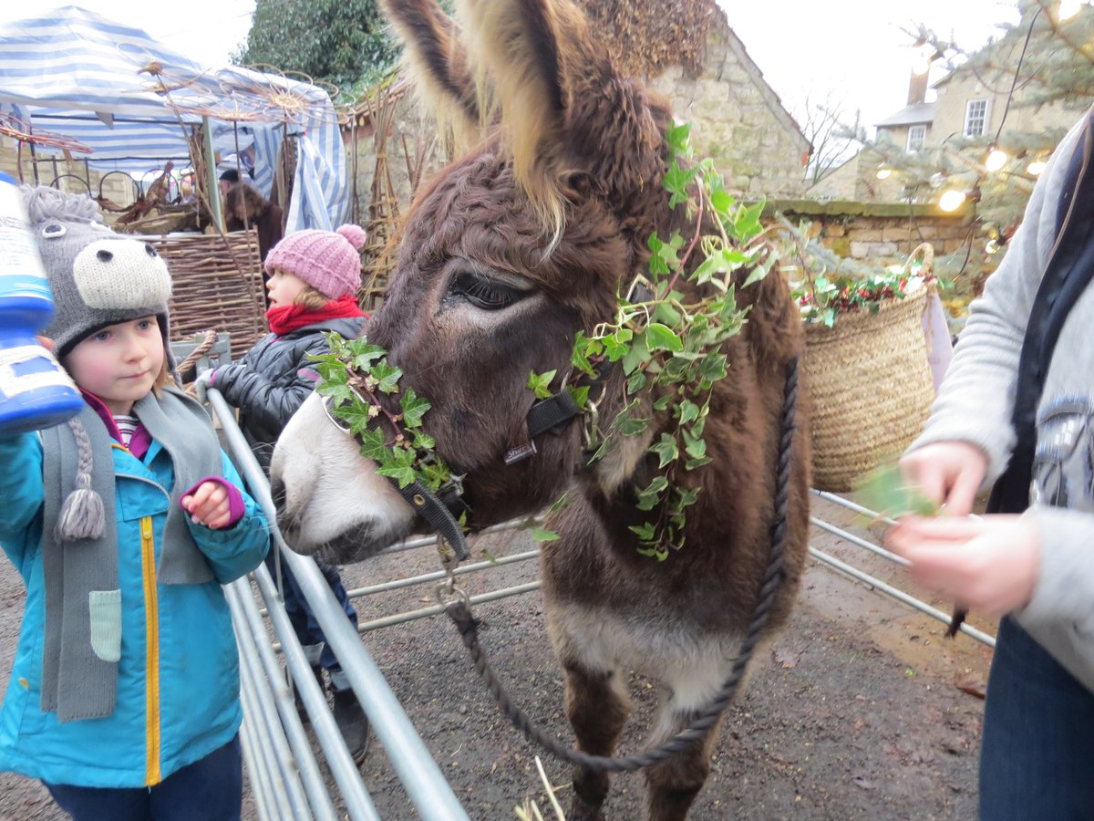 Join us for a special festive edition of Hovingham Village Market this Saturday, 10.30am-1.30pm.

Featuring our guest donkey with mistletoe for sale in aid of <a href="/ParkinsonsUK/">Parkinson's UK</a> 

Full details here: mailchi.mp/48fee8e15a65/h…