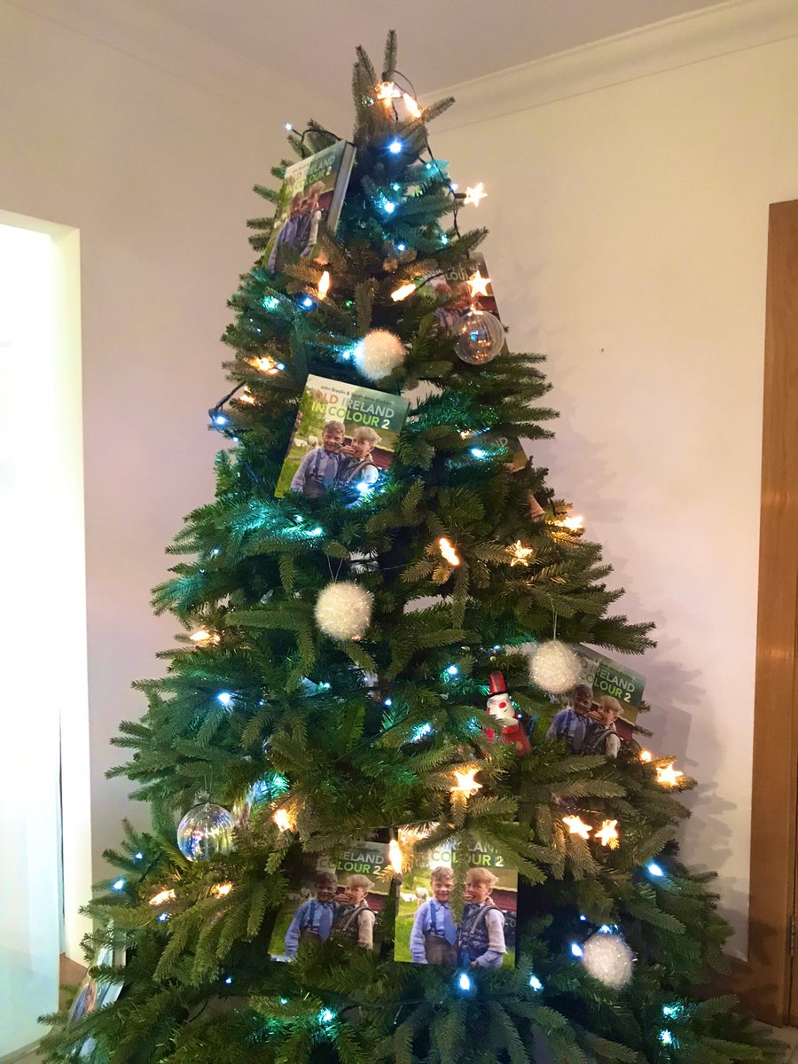 irelandincolour's tweet photo. Christmas tree decorated! #xmassorted 🎄 📚 https://t.co/n2J5CrY2ym