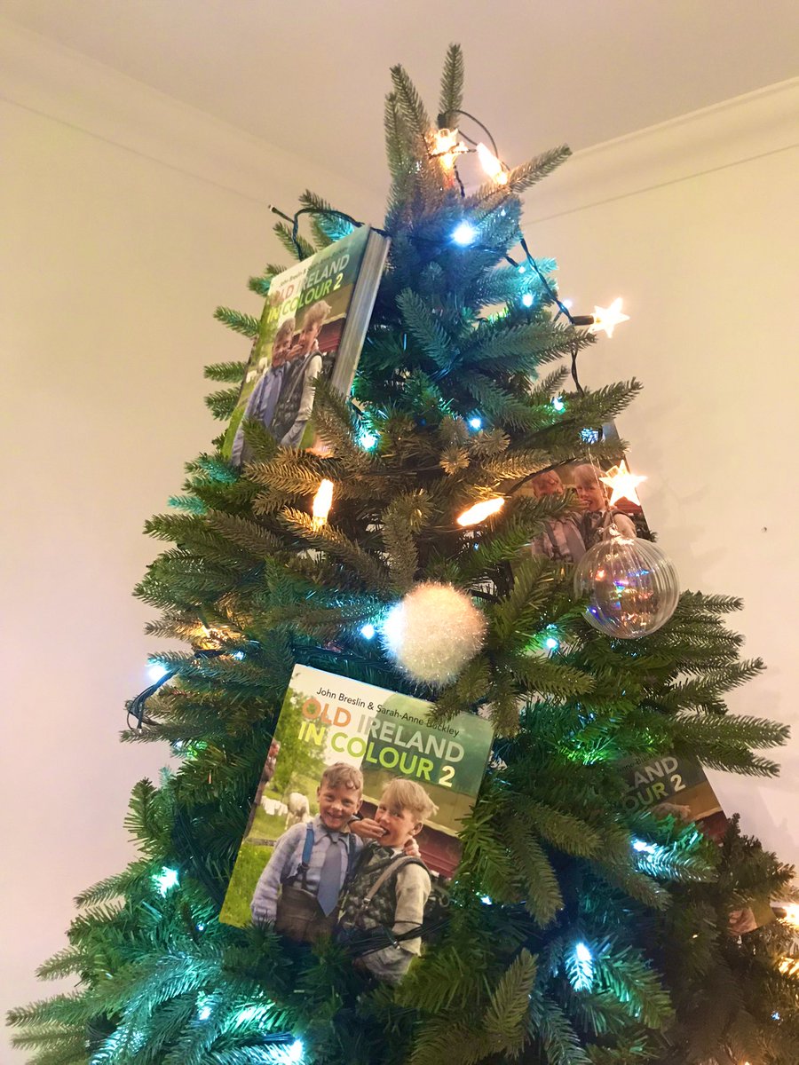 irelandincolour's tweet photo. Christmas tree decorated! #xmassorted 🎄 📚 https://t.co/n2J5CrY2ym