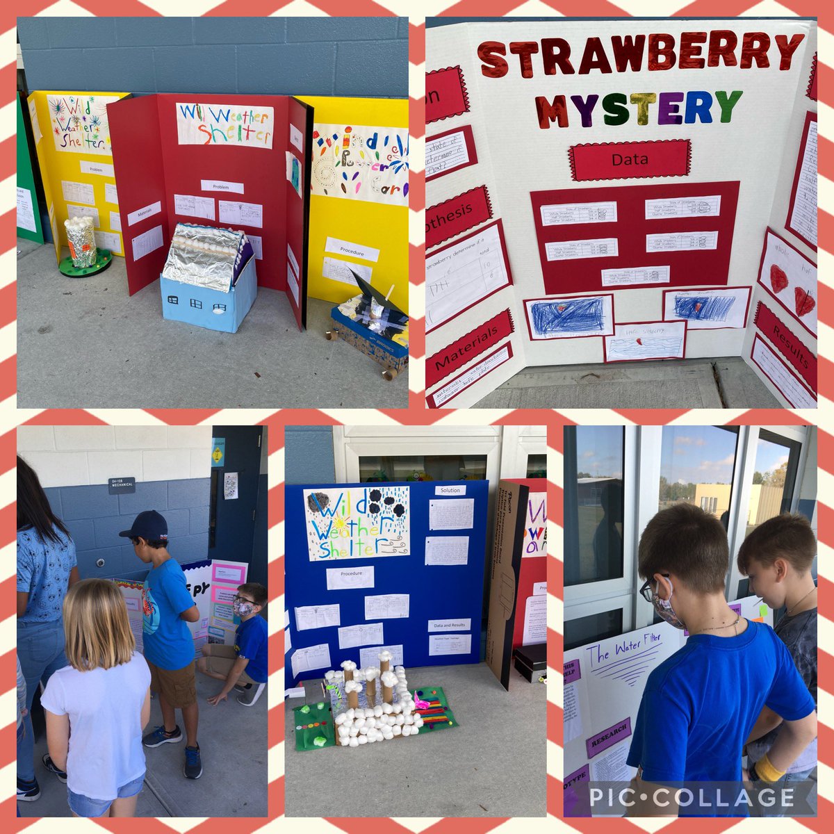 PVES_Patriots (@patriotspves) on Twitter photo All K-5 Patriots participated in Pasco Science & Engineering Fair. Our young scientists showcased their knowledge for others to see today. Seeing what they care about in this world was remarkable. <a href="/LesleyKirkley/">Lesley Kirkley</a> <a href="/pascoschools/">Pasco County Schools</a> All K-5 Patriots participated in Pasco Science & Engineering Fair. Our young scientists showcased their knowledge for others to see today. Seeing what they care about in this world was remarkable. <a href="/LesleyKirkley/">Lesley Kirkley</a> <a href="/pascoschools/">Pasco County Schools</a>