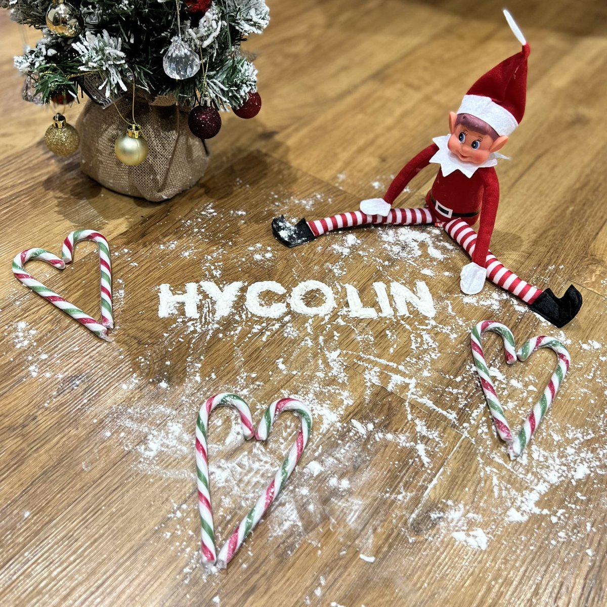 We love this Christmas image sent to us by one of our fans! 🥰 

Send in your photos for a chance to feature on our page 🤩

#hycolin #christmas #elf #santa #flour #cleansetup #cleanandsimple #cleanliness #cleanhouse #cleaned #cleaningup