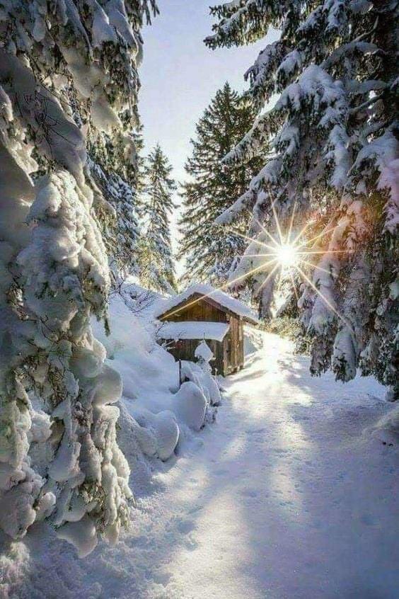 Pavlo_UA's tweet photo. https://t.co/EUlQ8otUKz