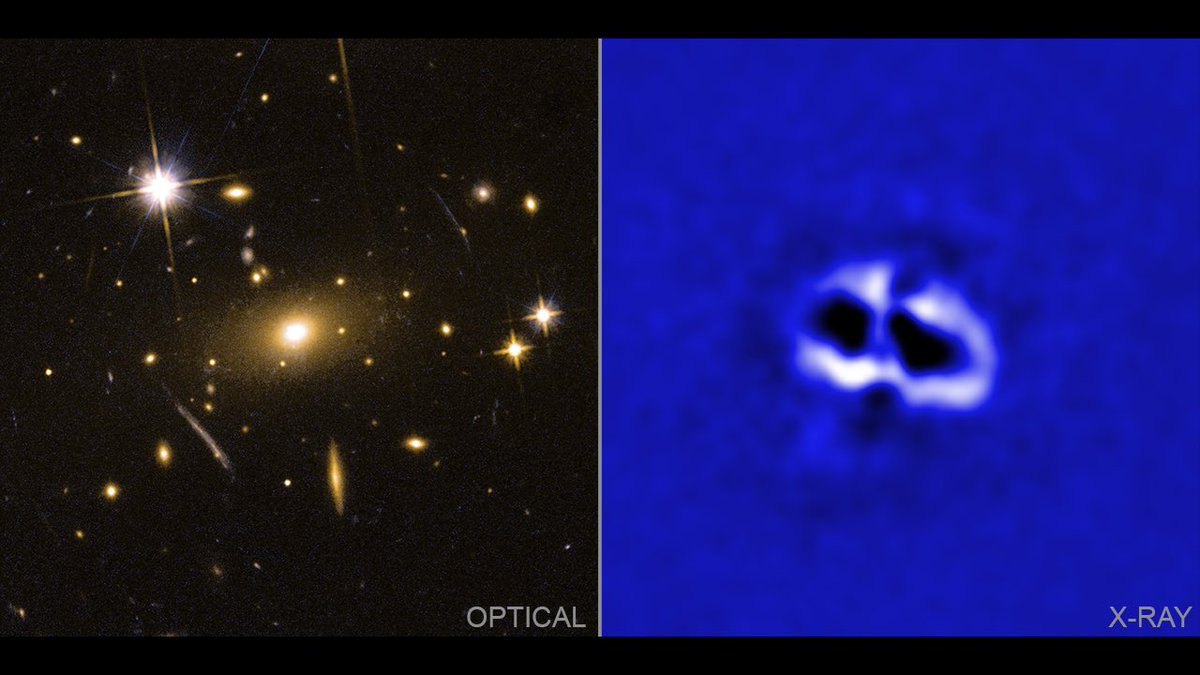 Two images of the same galaxy cluster, RBS 797, presented side-by-side. Left is an optical image from NASA’s Hubble Space Telescope. Right is an X-ray image from the Chandra X-ray Observatory. The optical image on features short streaks of golden light and golden stars of varying sizes set against a black background. While many of the stars resemble small roundish specks, others feature shafts of light bursting from brilliant, round cores. At the center of the image is a small fuzzy oval, surrounded by a glowing ring and a patch of golden haze. This is the large galaxy in the center of RBS 797. The X-ray image does not show the clustered galaxies, rather the hot gas that envelopes them. The image is royal blue in color, and somewhat mottled or cloudy. At the center is a pair of irregular black ovals, ringed with white and pale blue. These side-by-side shapes are X-ray cavities, thought to be a byproduct of eruptions from a giant black hole at the center of the cluster.