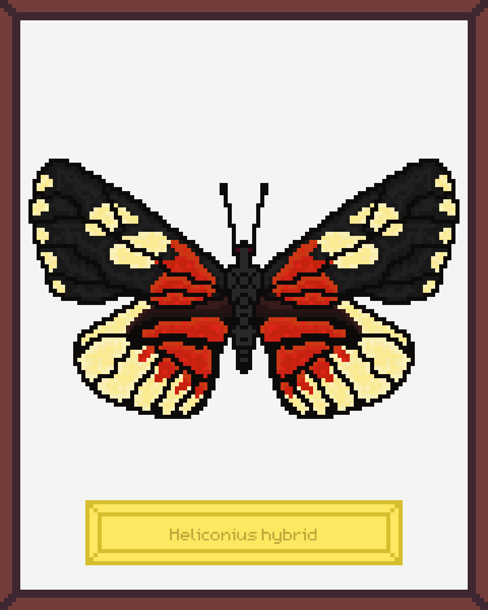 ButterfliesNFTs's tweet photo. One of the butterflies from second drop🦋🦋🦋
The Butterflies Museum is a collection of 500 handcrafted  #NFT real butterflies created in collaboration with @bit_colors 

https://t.co/oOp6oPZ6VU

#NFTs #NFTCommunity #nftcollector https://t.co/U0AVtw9oTh