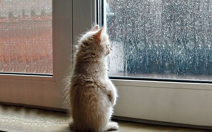Waiting for $2000 $TSLA