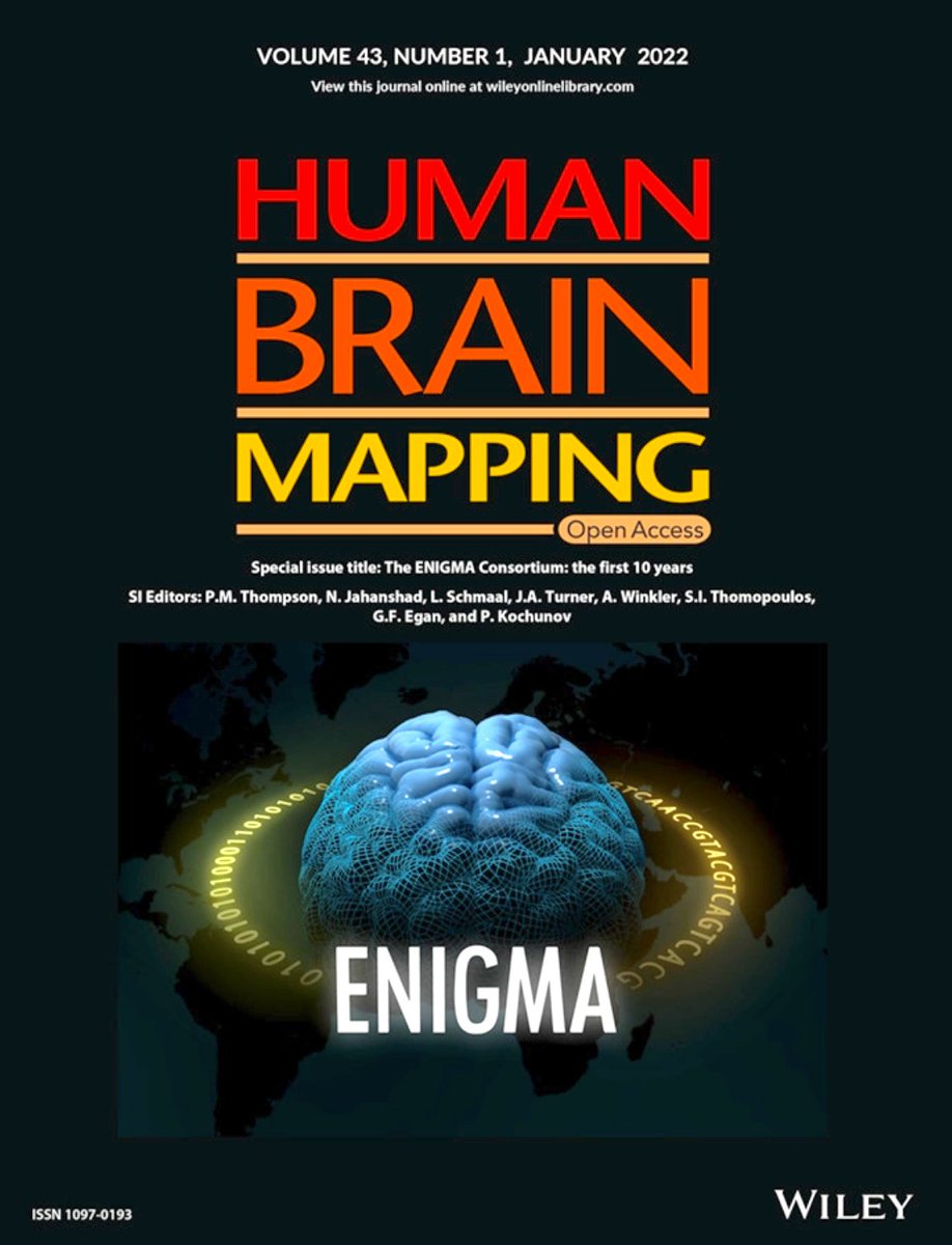 human brain mapping impact factor
