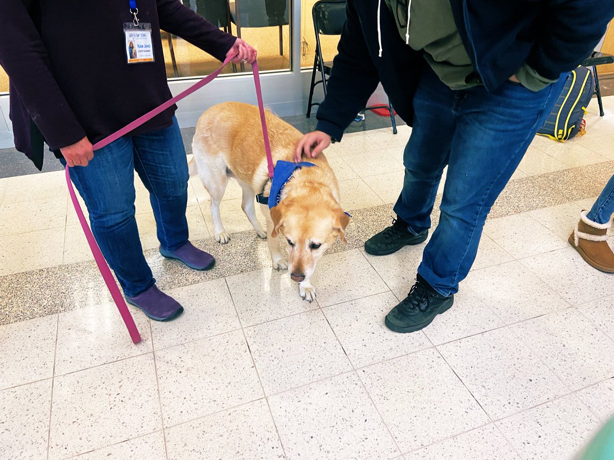 LHSJournalism's tweet photo. So many dogs on main street today!! @WagsForHope joined LHS in the hall (thanks to Mrs. Hendi) during each lunch shift and Lancers showed them some love. Thank you @Hanlon_FCPS for the last two pics!🐶🐾💙@LancerInsider https://t.co/TmqVRR9qFM