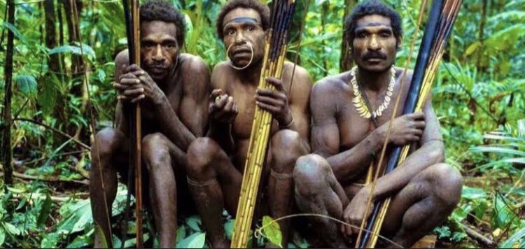 psychomolokko's tweet photo. 1 Papua Yeni Gine Kinası 4.45 tl olmuş mızrak alınmaz bu zamanda https://t.co/qGBseimoh7