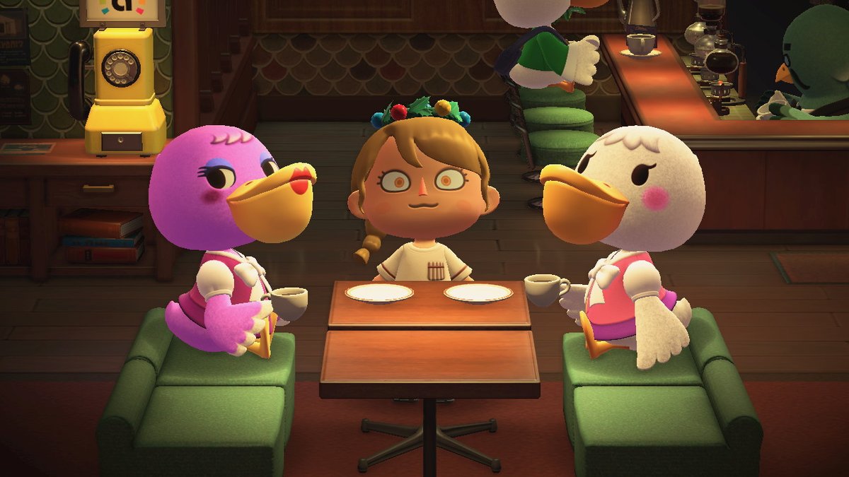 Sibcat_anything tweet media