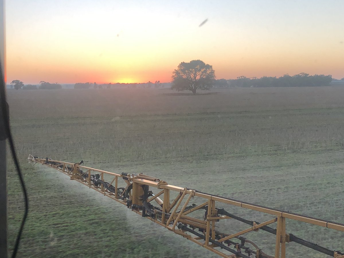 luvfarming's tweet photo. Nice morning for it #summerfallow and around we go again, wonder how many times we will be spraying this summer https://t.co/9ITL8pO6Dq
