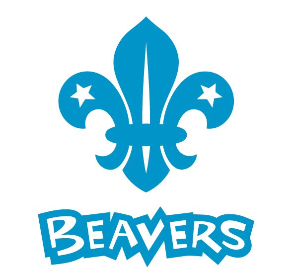 Had a fantastic evening with the Beaver scouts in Bishops Stortford on their last meeting before Christmas. 
#beavers #scouts #cubscouts #beaverscouts #cubs #gargsanimalencounters #animalencounter #christmastreat
