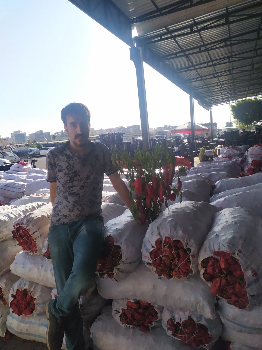 MuratBULUT103's tweet photo. İyiki liseyi bitirip üniversiteyi okumadım
Allah'ın sevdiği kuluyum ne kadar şükür etsem azdır... #ÖğretmenedeYüzde50zam https://t.co/q3AfR3XigY