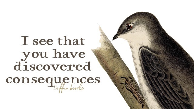 EffinBirds's tweet photo. https://t.co/cxEDfrrRZj
