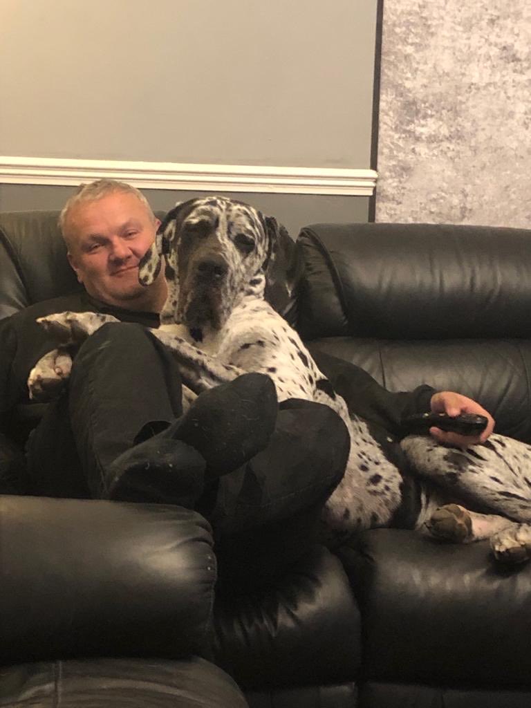 Stdcjjcook's tweet photo. Trying to watch football with the big  boy 👀 https://t.co/HFBoYnzpRP