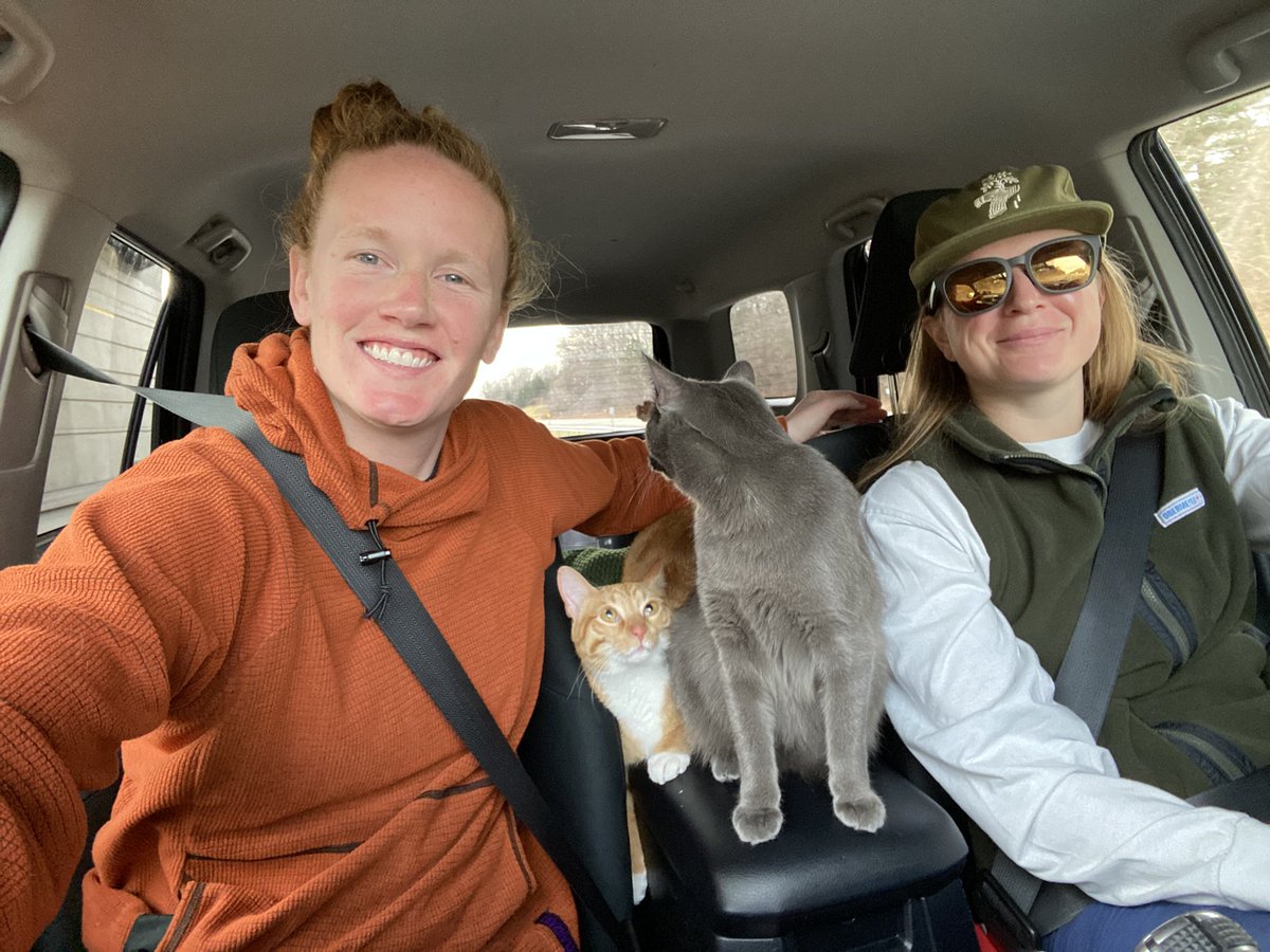 Tori Ball tweet media