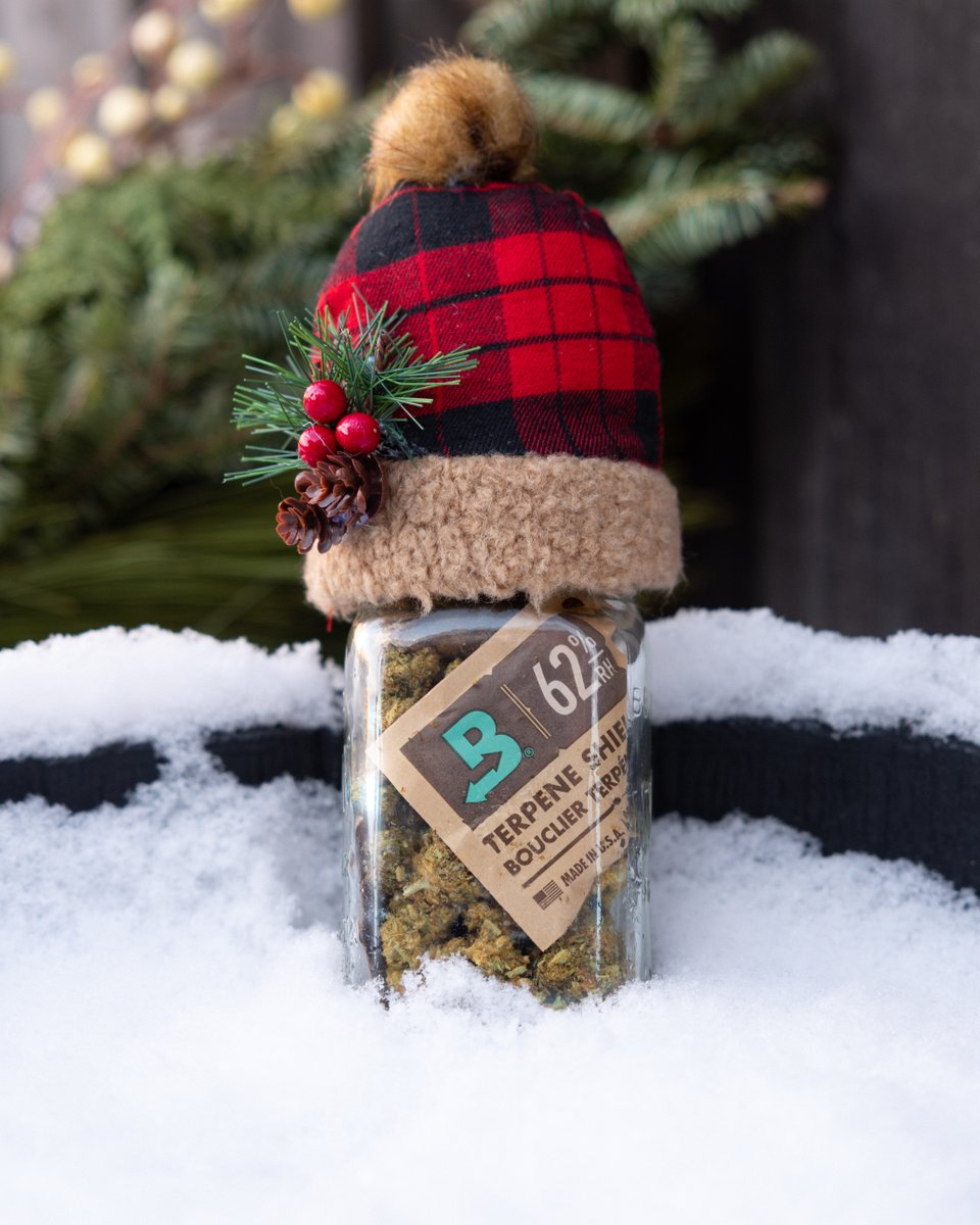 BovedaCannabis's tweet image. Much like a warm hat keeps your body heat in your head, a #TerpShield keeps your terpenes inside your flowers trichomes. So stay warm, and keep your trichomes frosty. ❄️