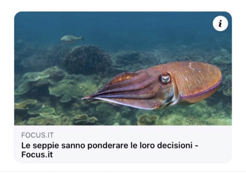 callmebiondina's tweet photo. Chissà se possono prenderle anche al posto mio https://t.co/6x8SRkYBfm