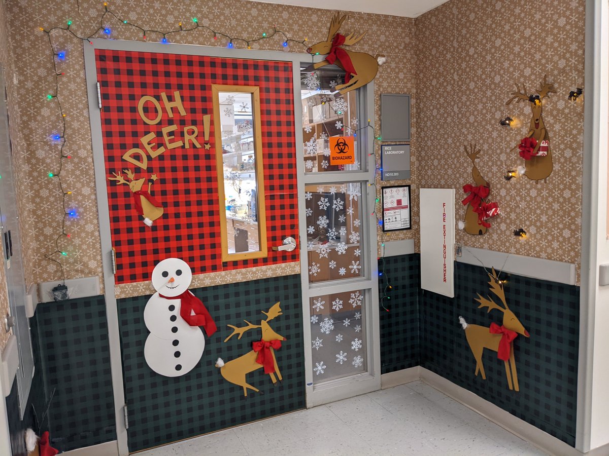BioSciLauren's tweet photo. Rice Lab Holiday Door Decor https://t.co/TO8BHZ3DZB