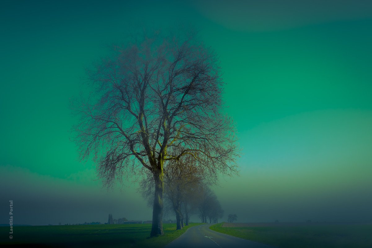 LaetitiaWilfert's tweet image. 