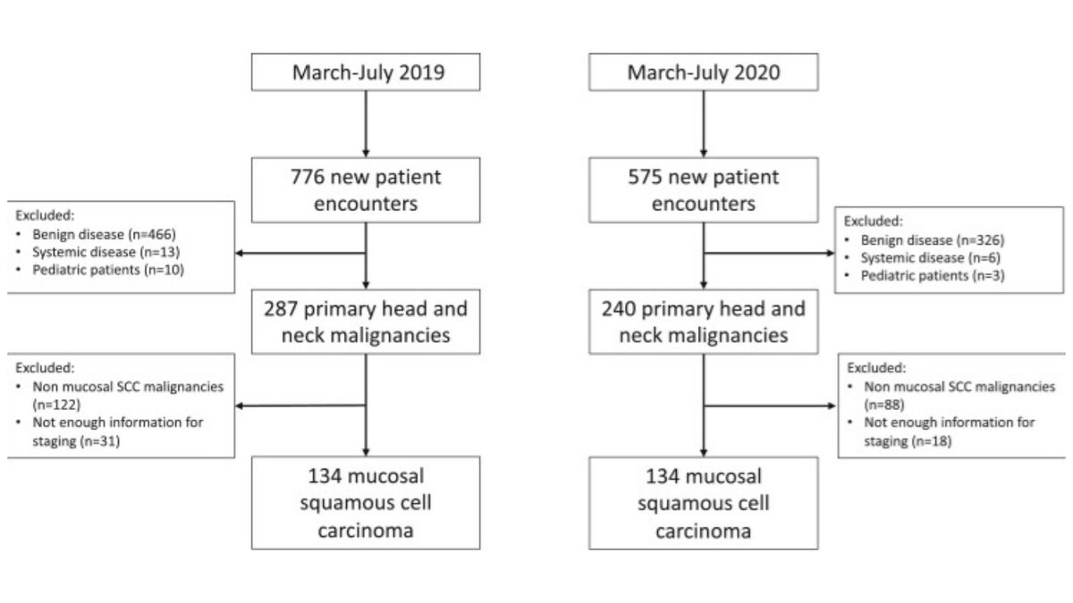 Many have worked to study the effects of Covid-19 on H&amp;N #cancer patients &amp; were able to conclude H&amp;N mucosal SCC patients presented w/ more advanced clinical nodal disease during the early months of the COVID-19 pandemic despite no change in presenting symptoms.