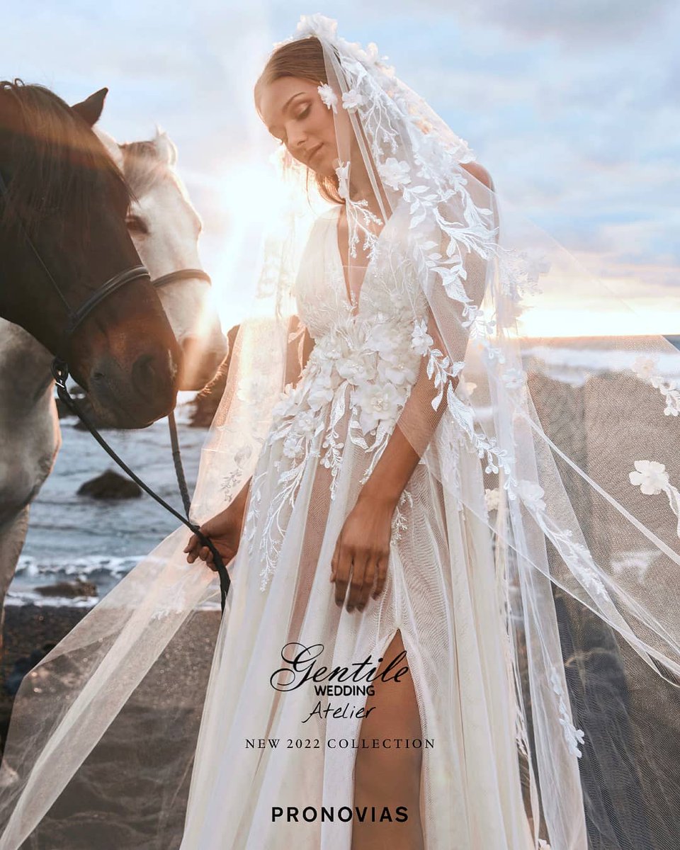 GentileWedding's tweet photo. Quest'abito👰 spensierato trasuda romanticismo bohémien.💖  
#pronovias
#pronovias2022
#pronoviasbride
#altamoda #sposa 
#Monopoli
#abitodasposa
#collezionesposa2022
#WeddingDress 
#bridalcollection2022
#bride
#bridetobe 
#weddinginspiration https://t.co/LM1MKqP9TM