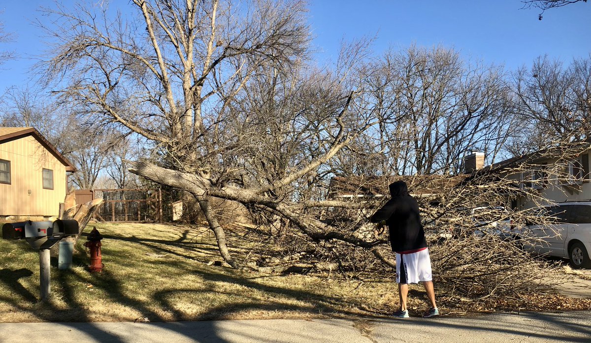 Mrs_Gleen's tweet photo. The aftermath ⛈ of a storm with 93 mph winds. You can see how big this tree was with @Mister_Gleen next to it. https://t.co/Bz8Lvr64gF