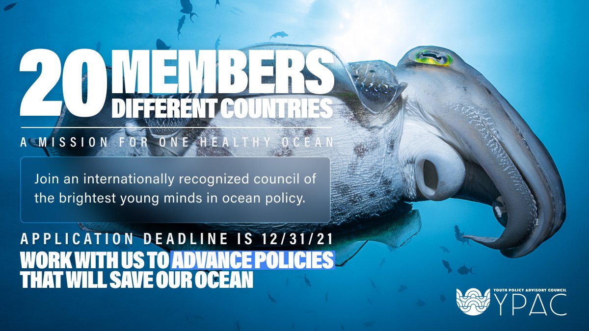 Faltam apenas 2 semanas para te candidatares. Junta-te aos melhores jovens especialistas em políticas do oceano do mundo - Youth Policy Advisory Council da <a href="/SOAlliance/">Sustainable Ocean Alliance (SOA)</a> 🌊

Candidata-te aqui -> bit.ly/3oDmFom

#YouthForClimate #GenerationRestoration #SDG14 #YPAC #Policy